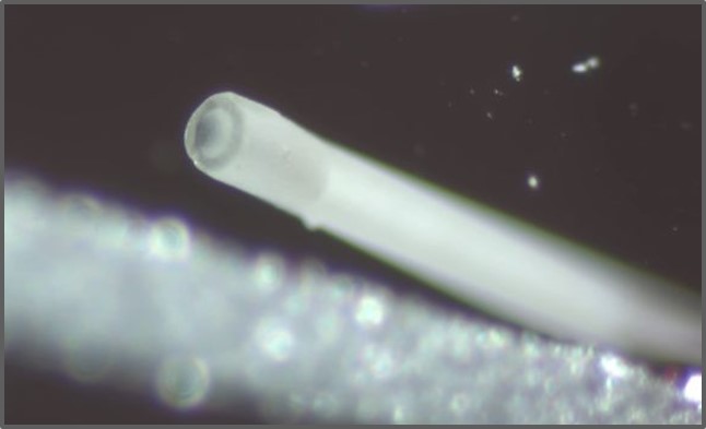 REM Sensor
